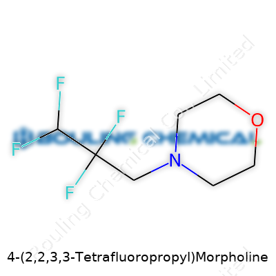 4-(2,2,3,3-Tetrafluoropropyl)Morpholine