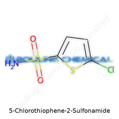 5-Chlorothiophene-2-Sulfonamide