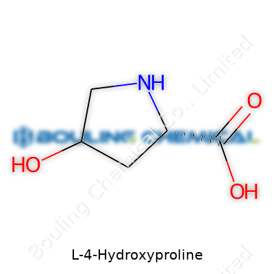 L-4-Hydroxyproline