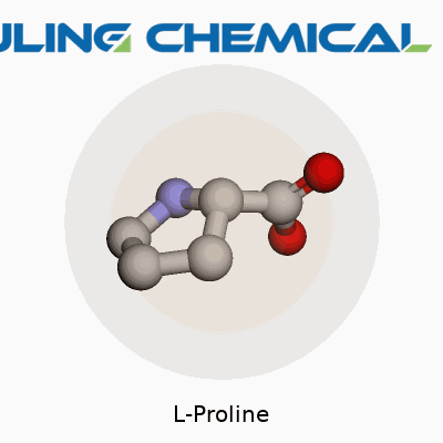 L-Proline