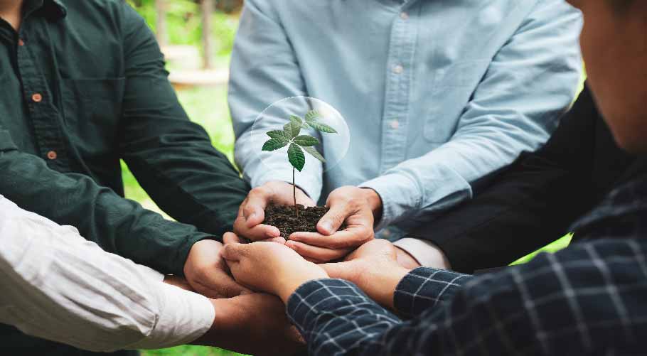 Bouling Chemical Co., Limited